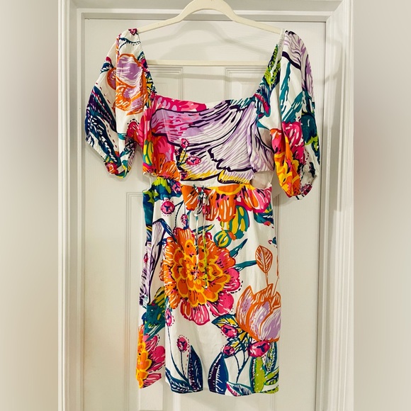 Walter Baker Nina Mini Dress. Size 4  NWT. MSRP$248 - Picture 6 of 8